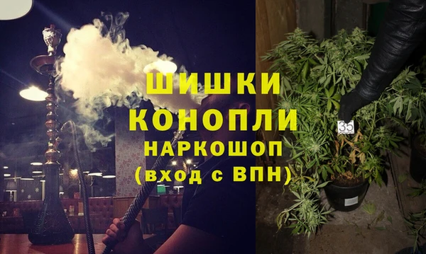 стаф Покачи