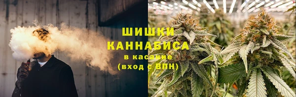 PSILOCYBIN Балабаново