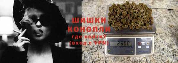 PSILOCYBIN Баксан