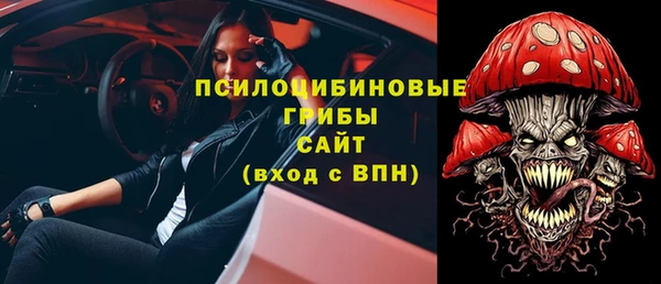 PSILOCYBIN Балабаново